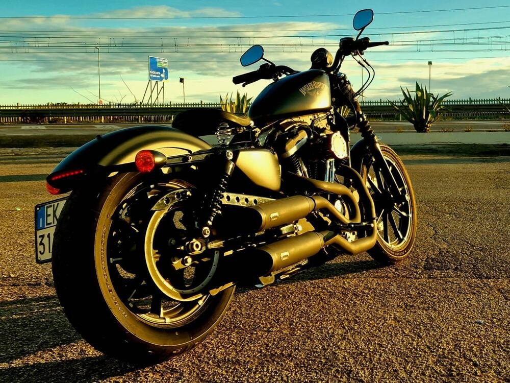 Harley-Davidson 883 Iron (2017 - 20) - XL 883N (5)