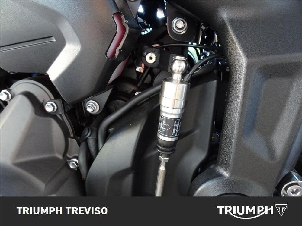 Triumph Trident 660 (2021 - 24)