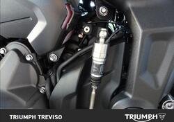 Triumph Trident 660 (2021 - 24) usata