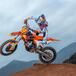 KTM 250 SX-F: la Adamo Edition, per celebrare il Mondiale 2023 in MX2