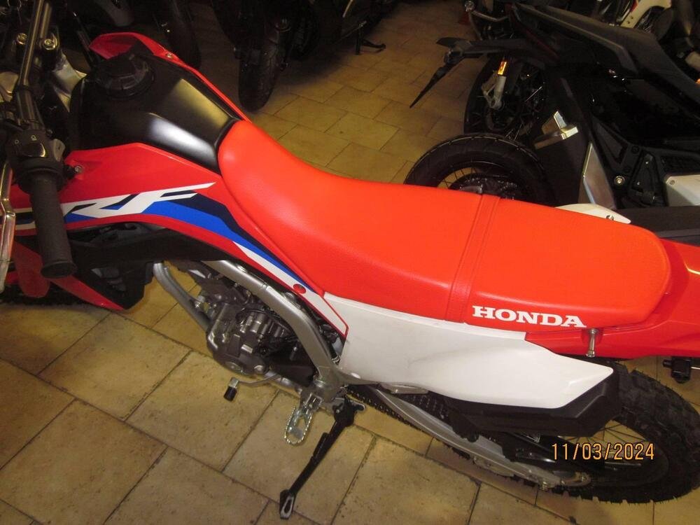 Honda CRF 300 L (2021 - 24) (5)