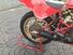 Ducati TT2 (13)