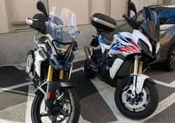 Bmw G 310 GS (2021 - 24) usata