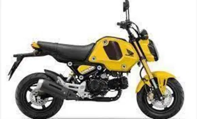 Honda MSX 125 Grom (2021 - 26) nuova