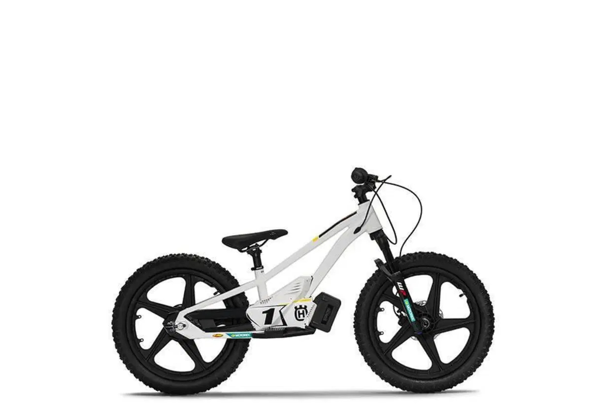 Husqvarna EE 1.20 (2023 - 24) (4)