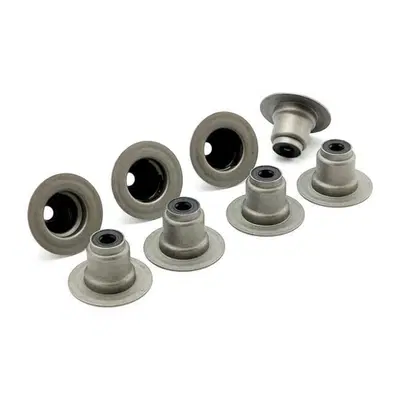 Guarnizioni paraolio valvole per Touring dal 2017 