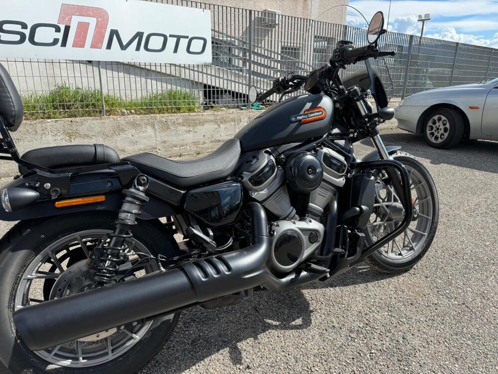 Harley-Davidson Nightster Special (2023 - 24) (5)