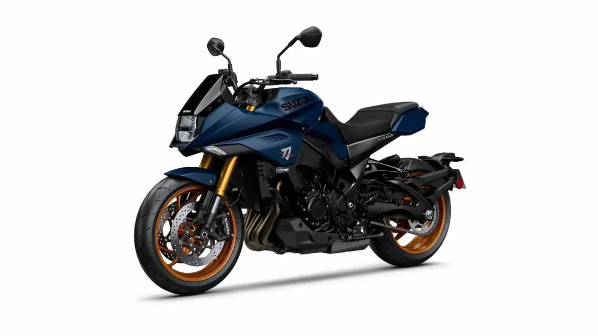 Suzuki Katana 1000 Katana 1000 (2022 - 26) (7)