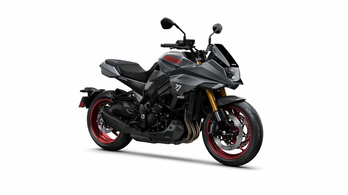 Suzuki Katana 1000 Katana 1000 (2022 - 26) (9)