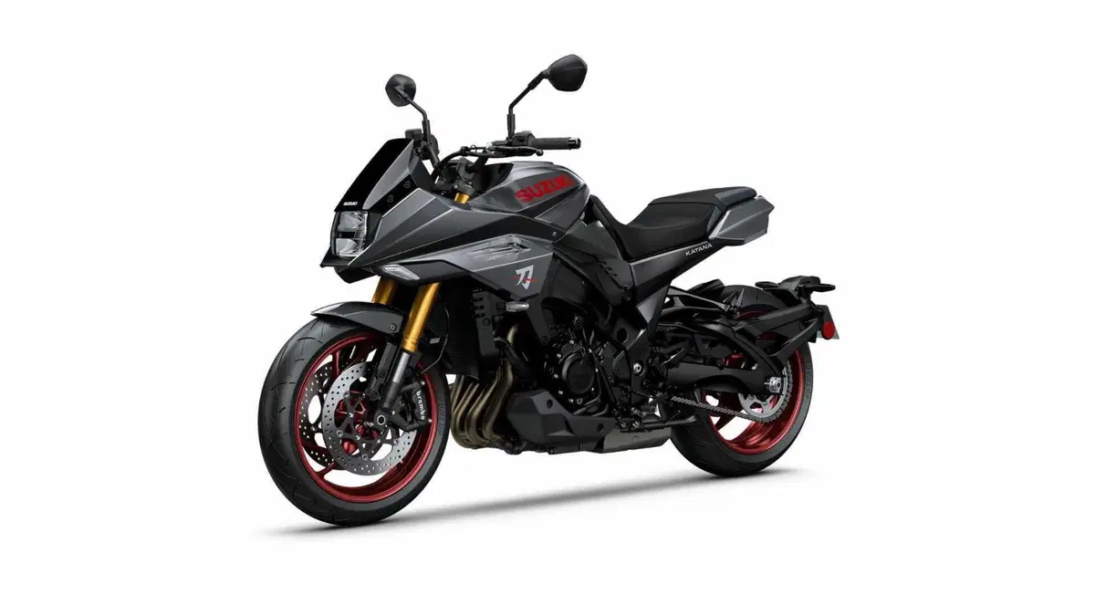 Suzuki Katana 1000 Katana 1000 (2022 - 26) (11)