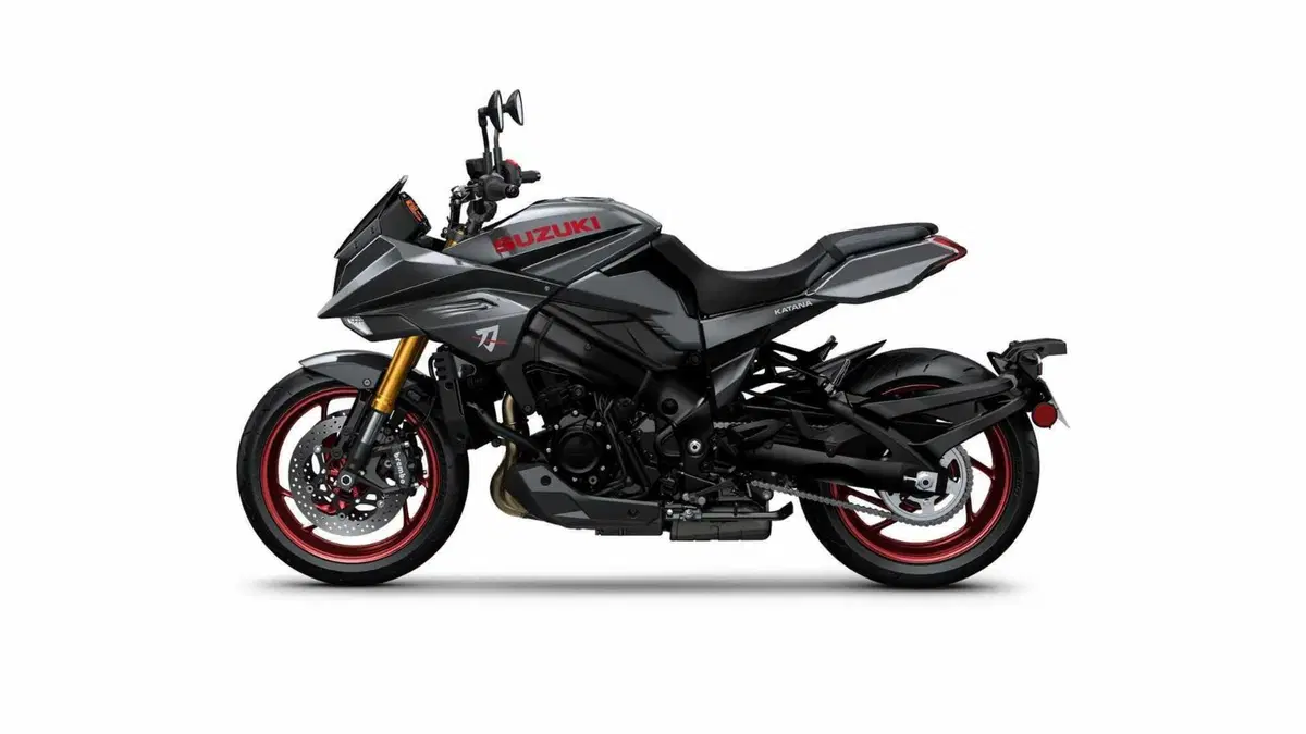 Suzuki Katana 1000 Katana 1000 (2022 - 26) (12)