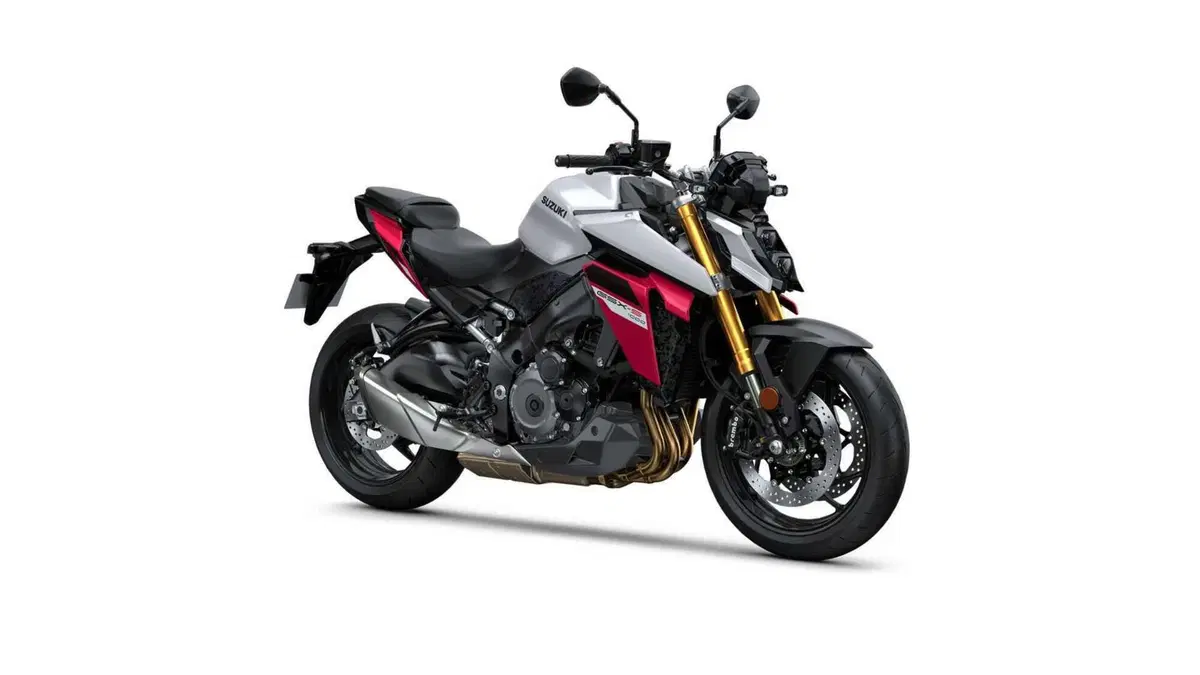 Suzuki GSX-S1000 GSX-S1000 (2021 - 25) (9)