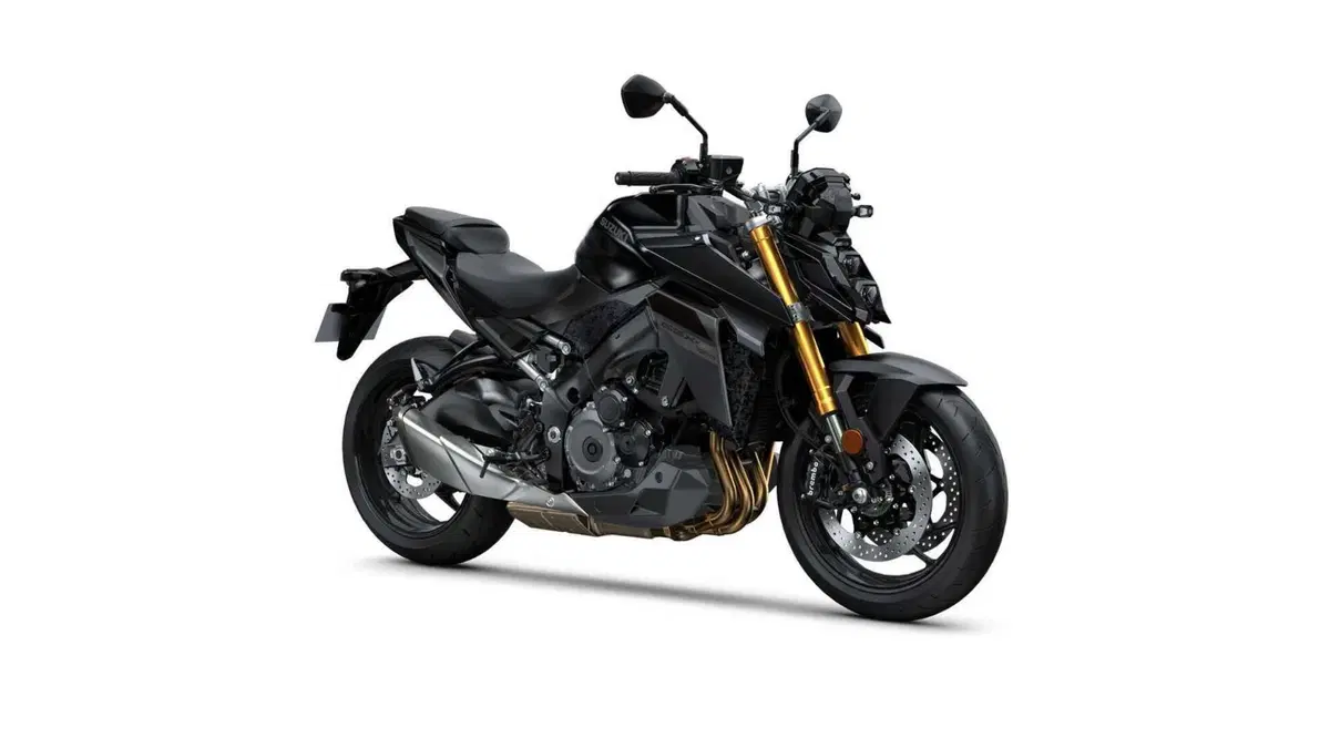 Suzuki GSX-S1000 GSX-S1000 (2021 - 25) (11)