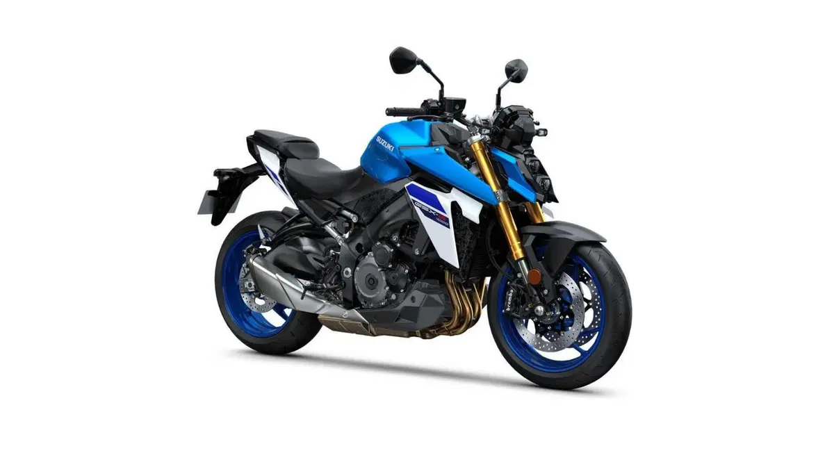 Suzuki GSX-S1000 GSX-S1000 (2021 - 25)