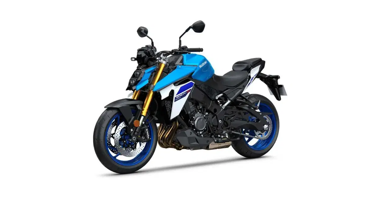 Suzuki GSX-S1000 GSX-S1000 (2021 - 25) (7)