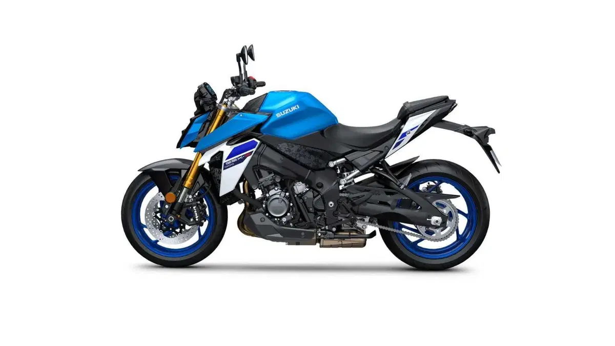 Suzuki GSX-S1000 GSX-S1000 (2021 - 25) (6)