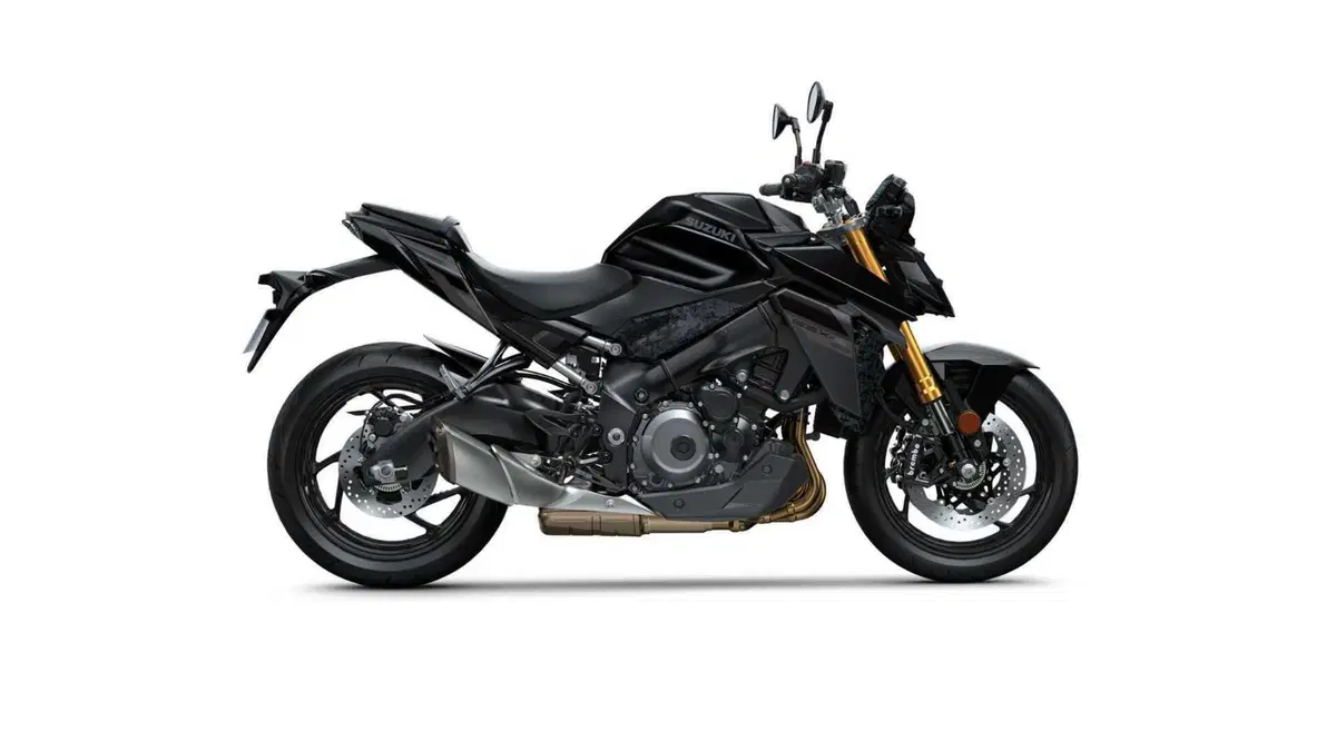 Suzuki GSX-S1000 GSX-S1000 (2021 - 25) (12)