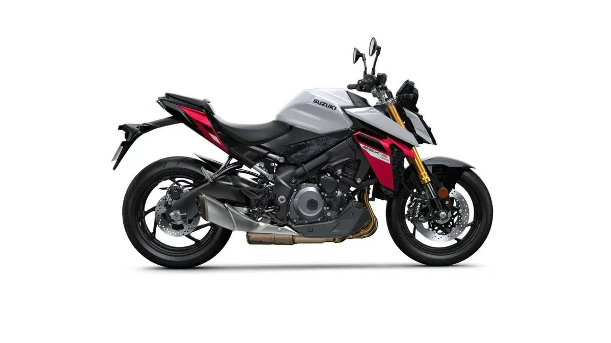 Suzuki GSX-S1000 GSX-S1000 (2021 - 25) (10)