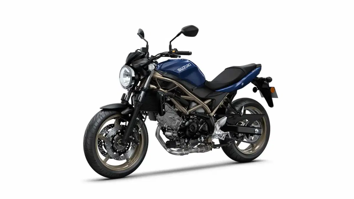 Suzuki SV650 SV650 (2021 - 24) (7)