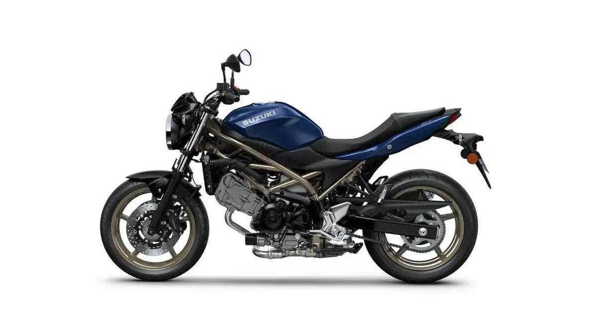 Suzuki SV650 SV650 (2021 - 24) (6)