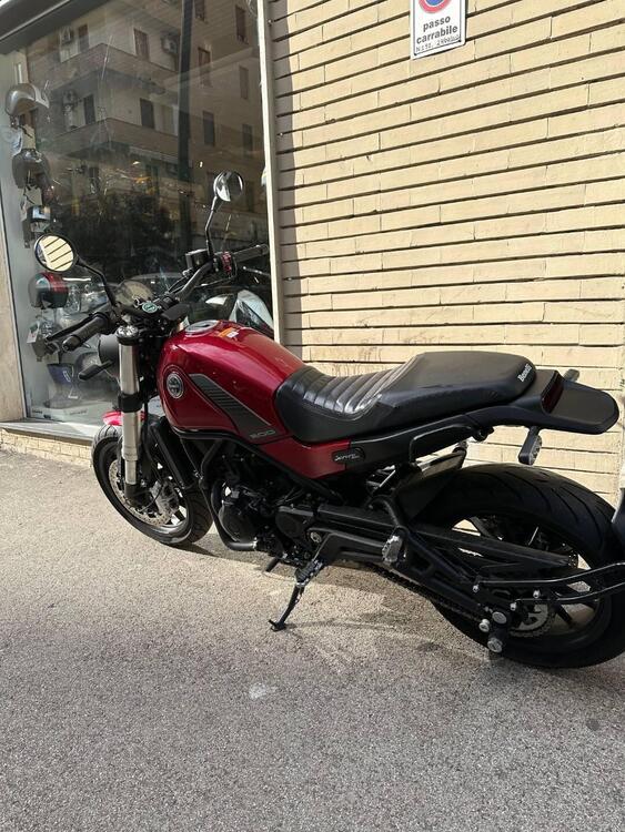 Benelli Leoncino 500 (2021 - 24) (3)