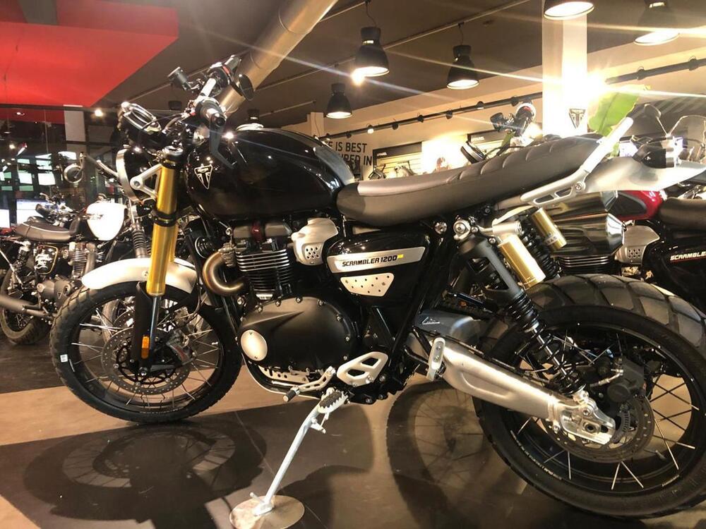 Triumph Scrambler 1200 XE (2024) (2)