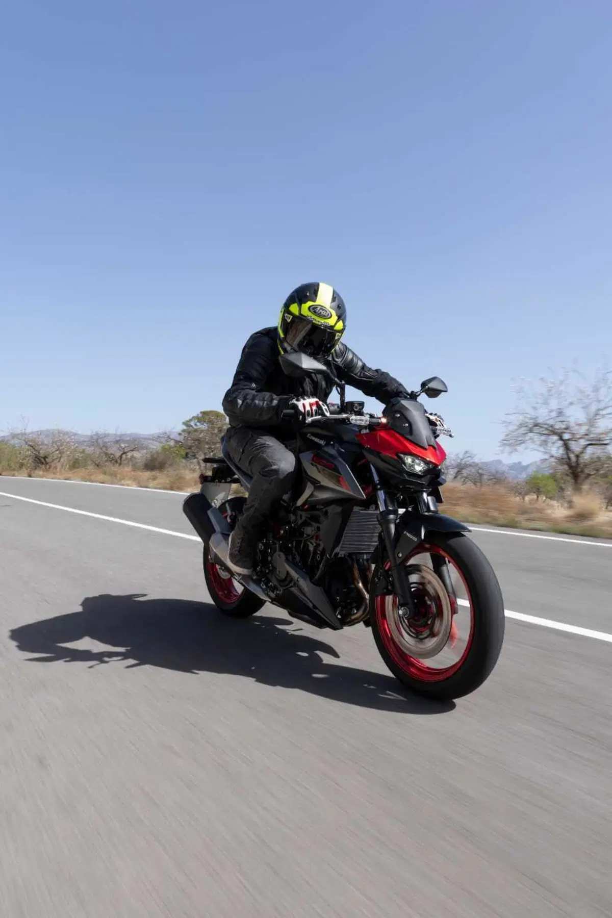Kawasaki Z500: la prova della nuova naked entry level. Come va, pregi e difetti [VIDEO E GALLERY] (10)