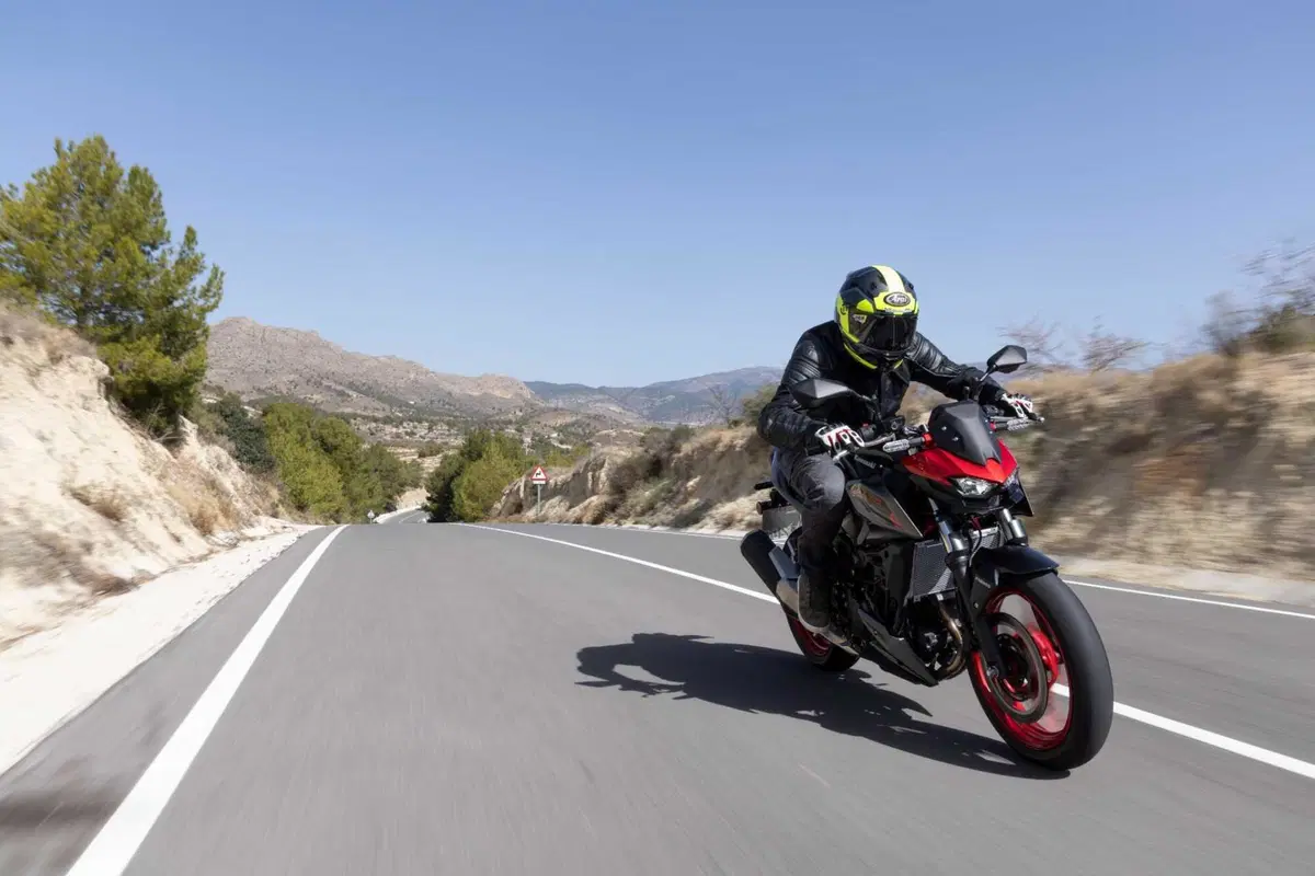 Kawasaki Z500: la prova della nuova naked entry level. Come va, pregi e difetti [VIDEO E GALLERY] (13)