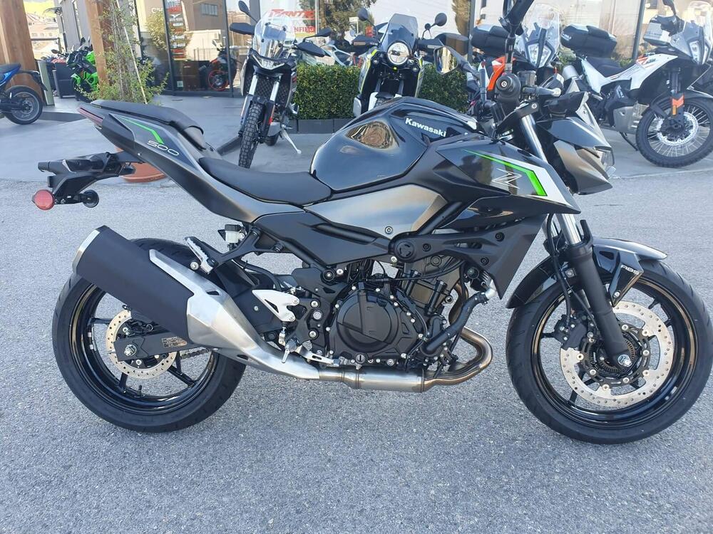 Kawasaki Z 500 (2024) (2)