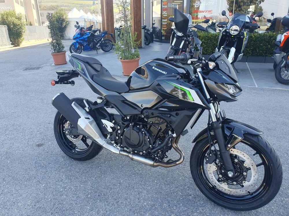 Kawasaki Z 500 (2024) (3)