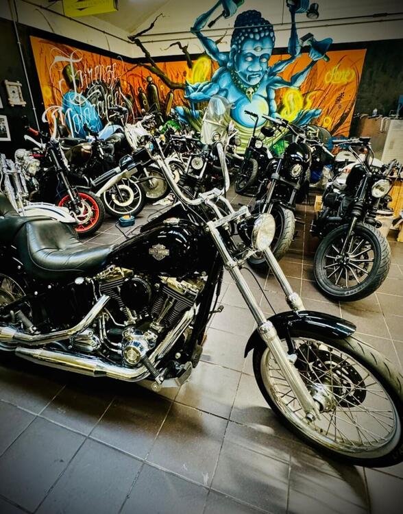 Harley-Davidson 1584 Custom (2007) - FXSTC (3)
