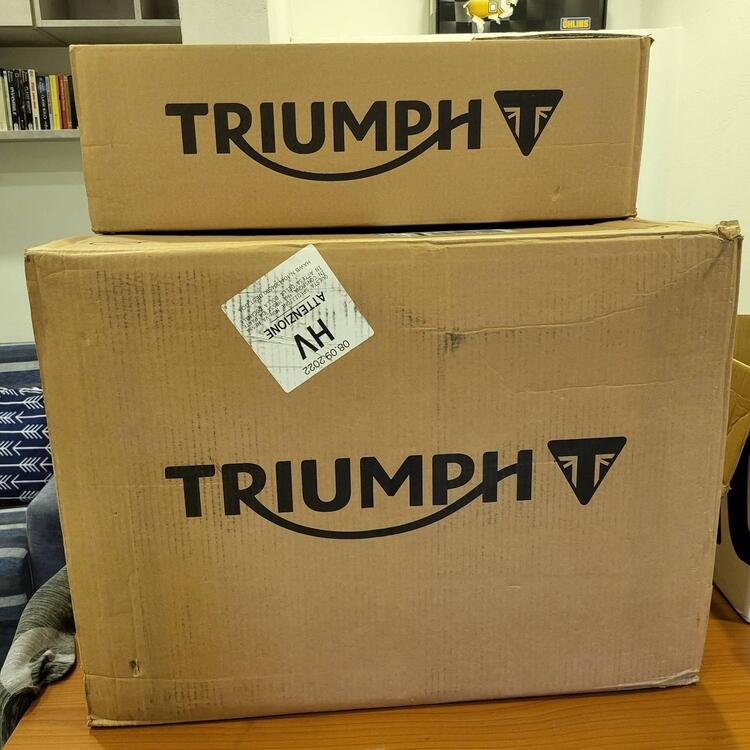 Kit baulett borse valigie laterali originali nuove Triumph