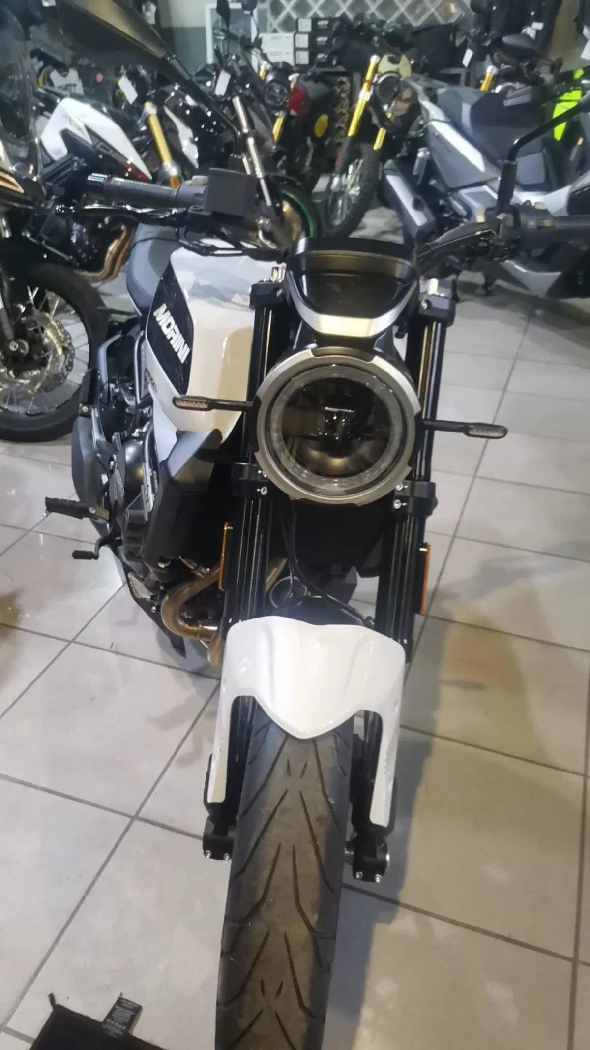 Moto Morini SEIEMMEZZO STR (2022 - 26) (5)