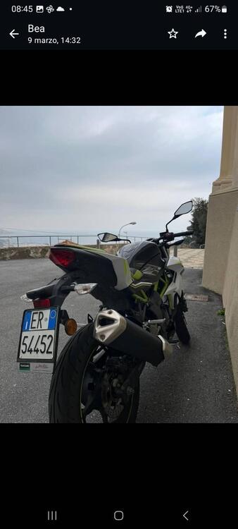 Kawasaki Z 125 (2019 - 20) (2)