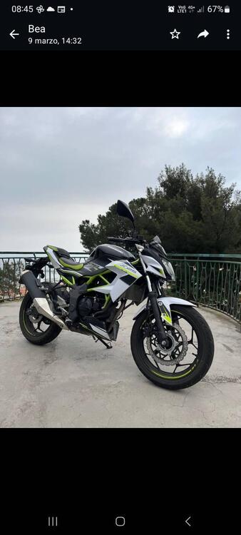 Kawasaki Z 125 (2019 - 20) (3)