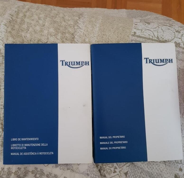 Triumph Speed Triple 955 (2002 - 04) (5)