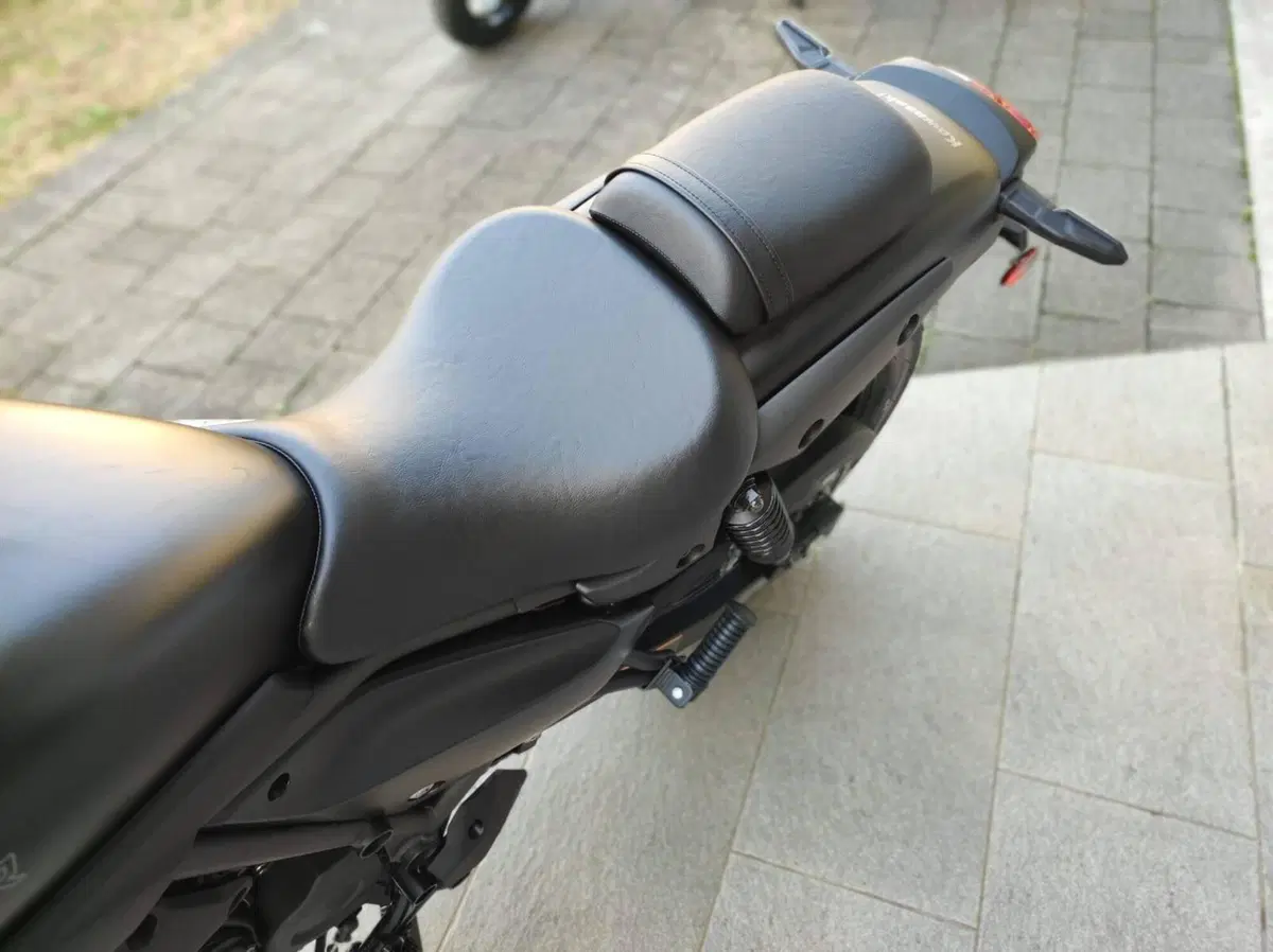 Kawasaki Eliminator 500 (2024 - 26) (6)