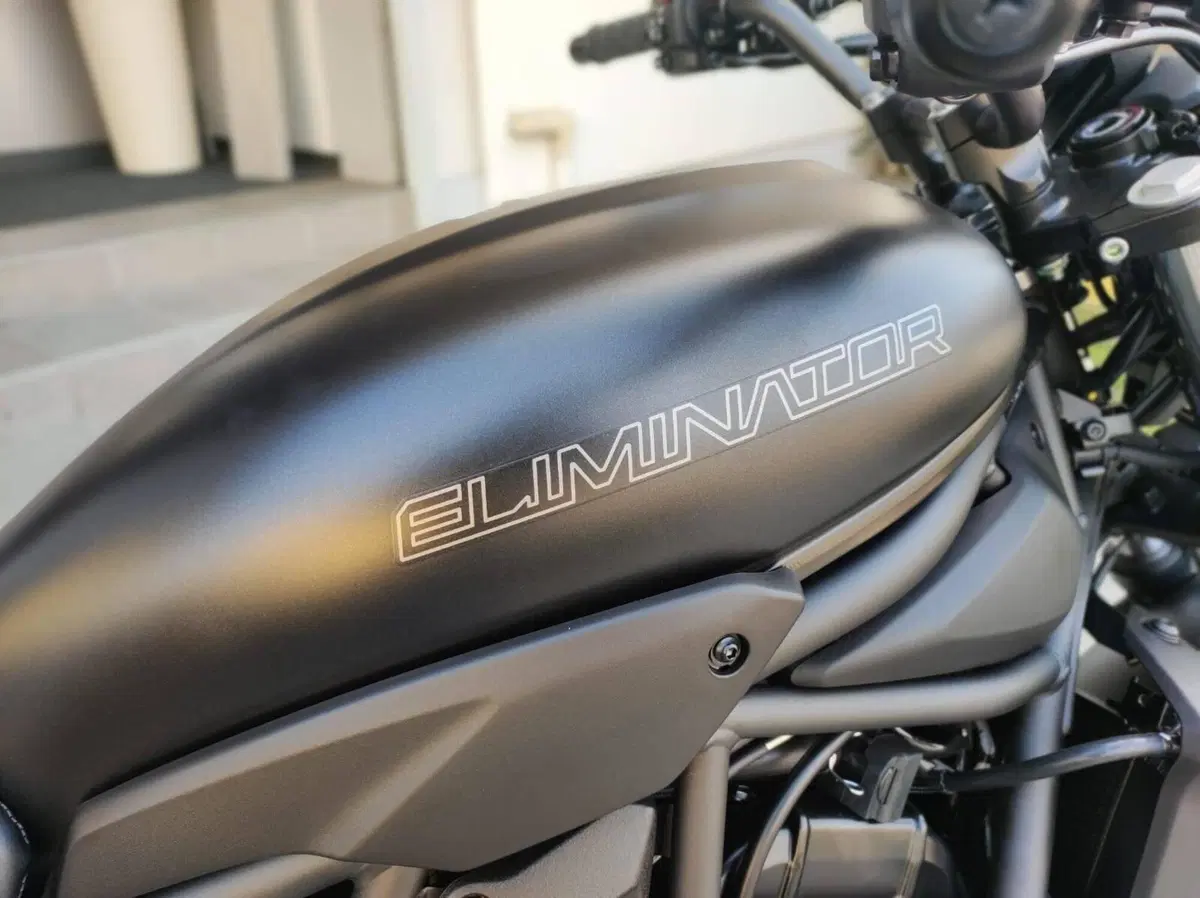 Kawasaki Eliminator 500 (2024 - 26) (8)