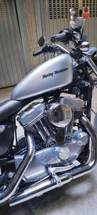 Harley-Davidson 883 Standard (2001 - 05) - XL 883 (4)