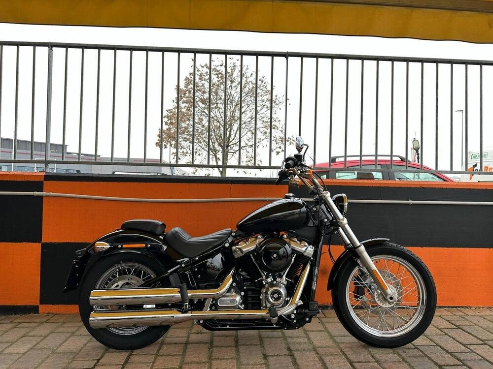 Harley-Davidson Softail Standard (2021 - 24)