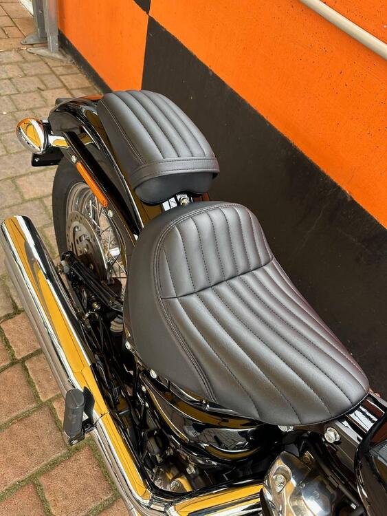 Harley-Davidson Softail Standard (2021 - 24) (5)