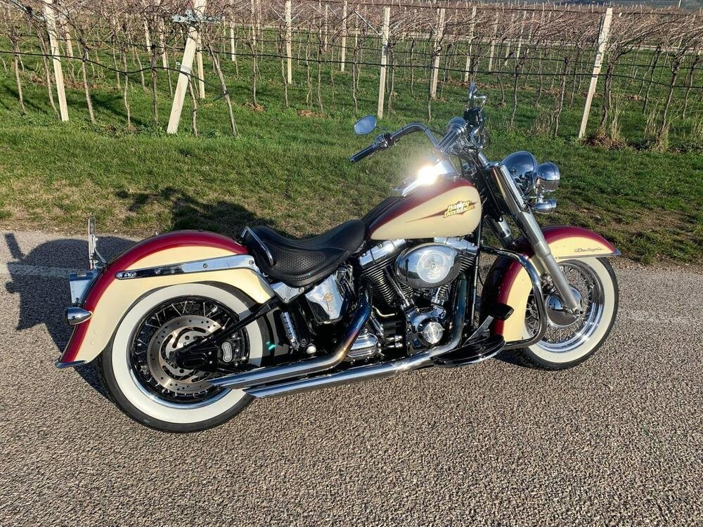 Harley-Davidson 1584 Deluxe (2007 - 08) - FLSTN (5)