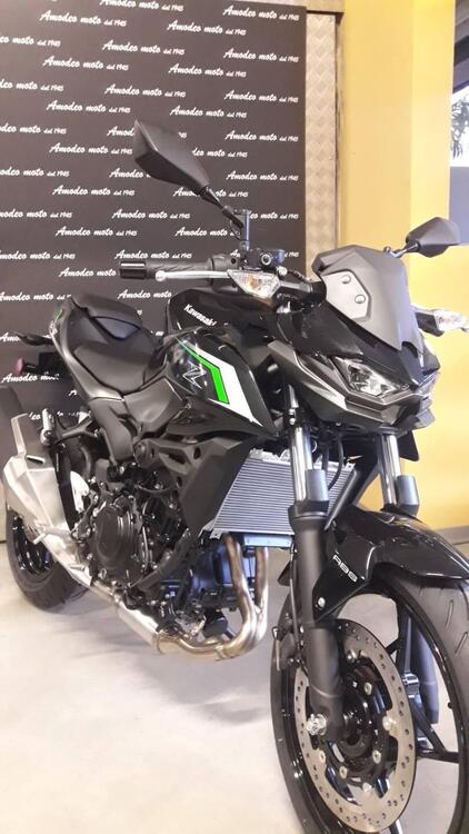 Kawasaki Z 500 (2024) (2)