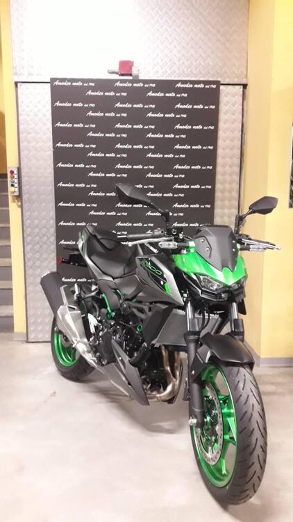 Kawasaki Z 500 SE (2024) (2)