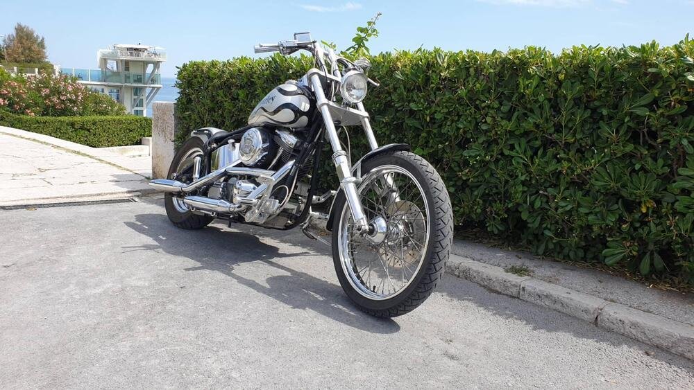 Harley-Davidson Softail Custom 1340 (2)