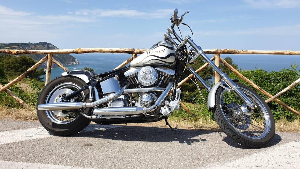 Harley-Davidson Softail Custom 1340 (3)