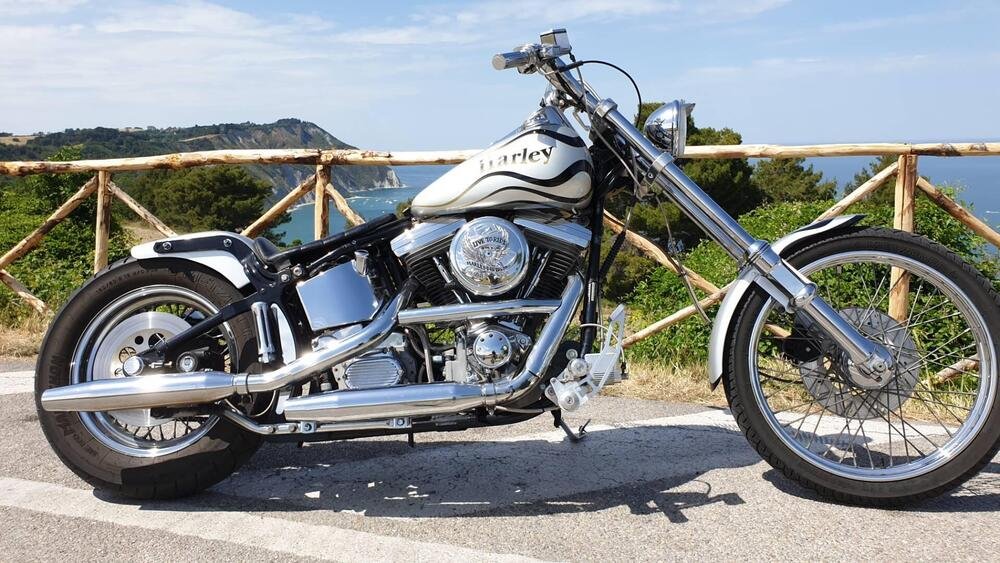 Harley-Davidson Softail Custom 1340 (4)