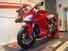 Ducati SuperSport 950 (2021 - 24) (14)
