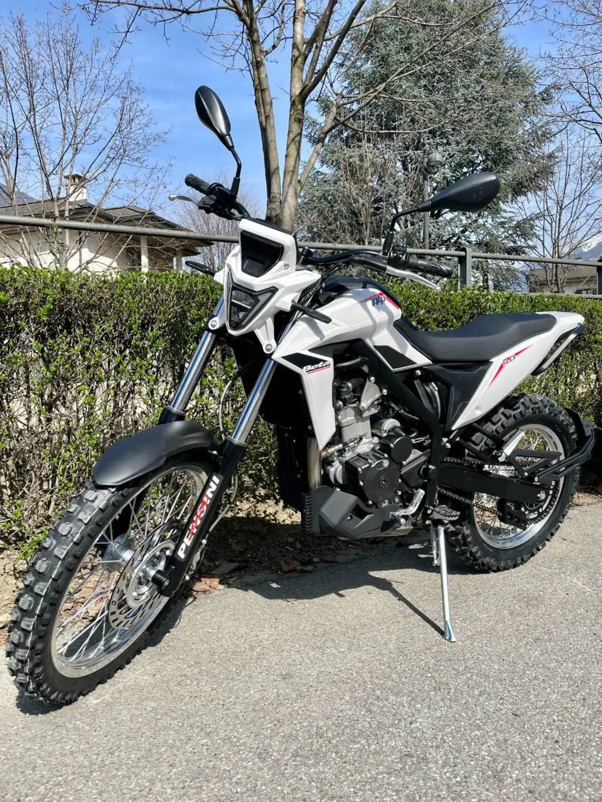 Betamotor Alp 4.0 (2024 - 26) (4)