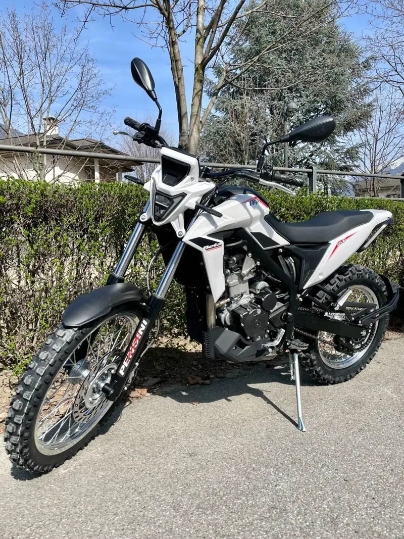 Betamotor Alp 4.0 (2024 - 26) (4)